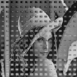 lena_numbers_256